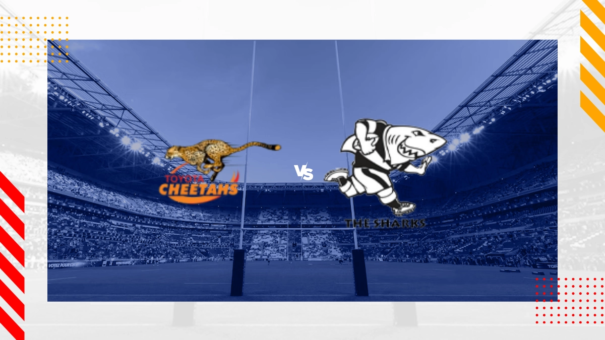 Cheetahs vs Hollywoodbets Sharks Prediction