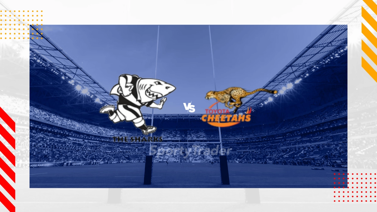 Hollywoodbets Sharks vs Cheetahs Prediction