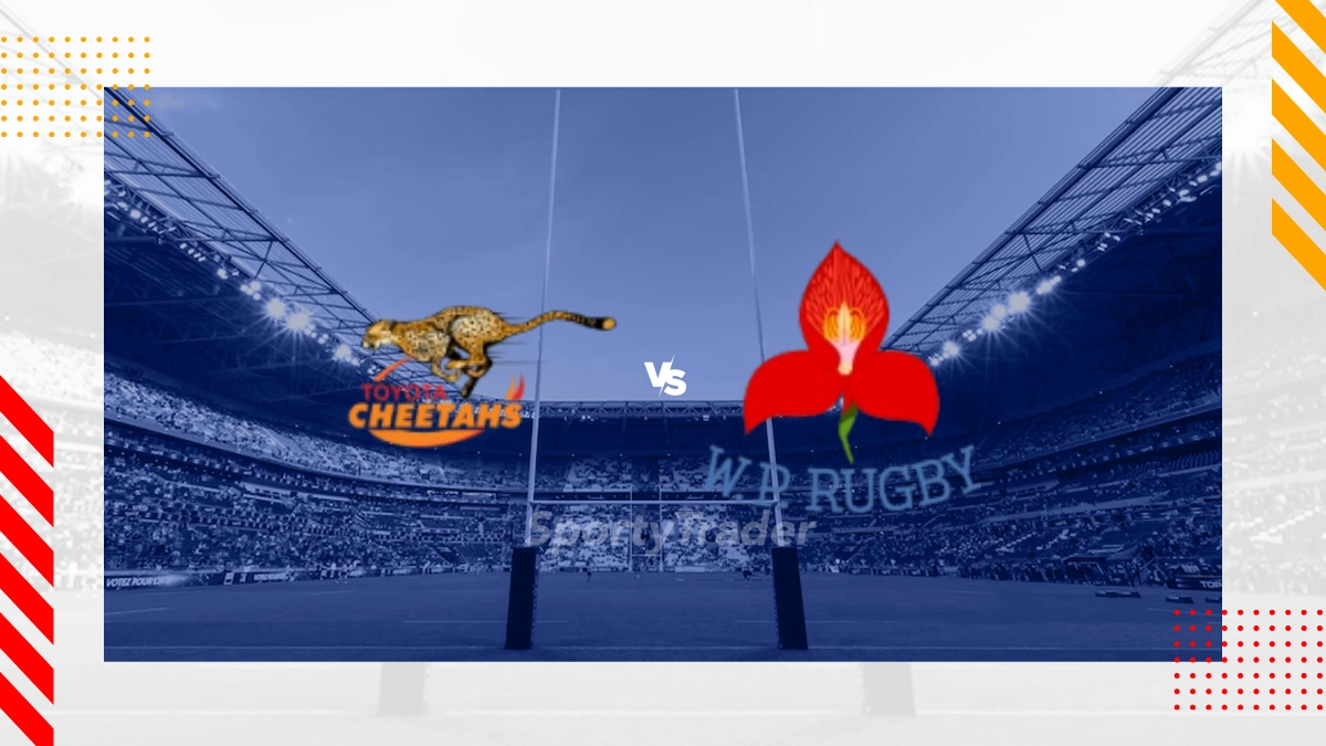 Cheetahs vs DHL Western Province Prediction