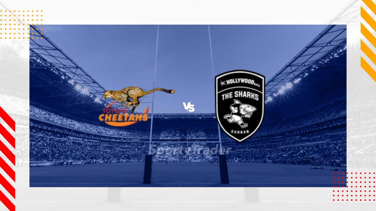 Cheetahs vs Hollywoodbets Sharks Prediction