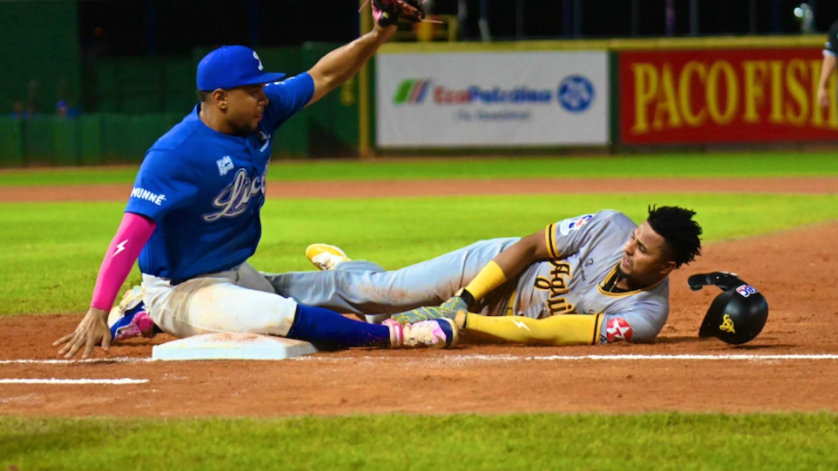 Todo lo que hay que saber de la Liga invernal de Béisbol en República Dominicana