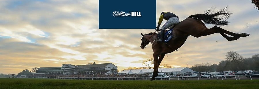 cheltenham festival william hill offers