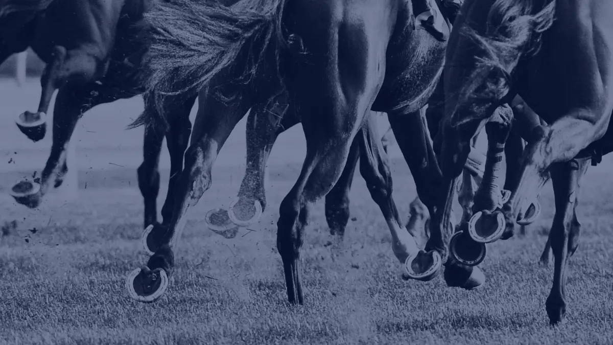 What are the top horse races for fans and bettors annually?