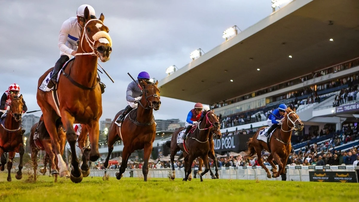 image Best Bets for the 2024 Betway Summer Cup