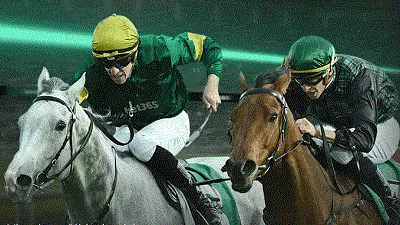 Bet365 6 Horse Challenge