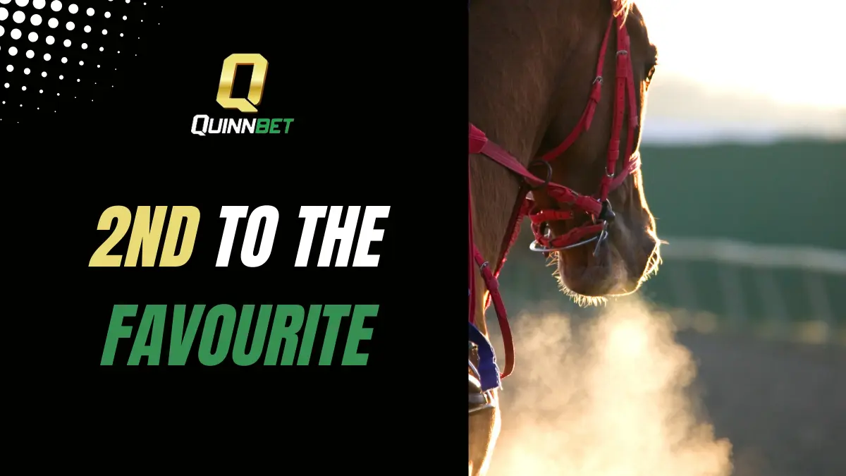 Quinnbet 2nd to the favourite