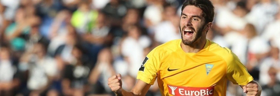 pedro monteiro liga ledman pro