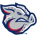 Lehigh Valley Iron Pigs