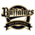 Orix Buffaloes