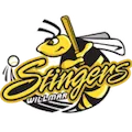 Willmar Stingers
