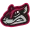 Richmond Flying Squirrels
