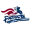 Somerset Patriots