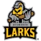 Bismarck Larks