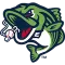 Gwinnett Stripers