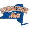 Syracuse Mets