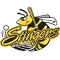 Willmar Stingers
