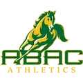 Abac Golden Stallions