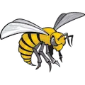 ALABAMA STATE HORNETS