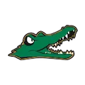 Allegheny Gators