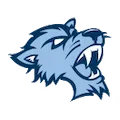 Baruch Bearcats