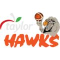 BAY HAWKS