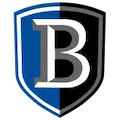 Bentley Falcons