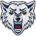 BK Wolves Radotin