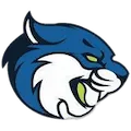 Bryant And Stratton Bobcats