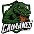 Caimanes Del Llano
