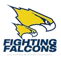 CMU Fighting Falcons