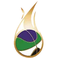 CEB Puerto Montt logo