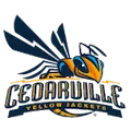 Cedarville Yellow Jackets