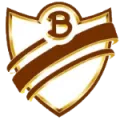 Club Atletico Bohemios