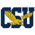 COPPIN STATE EAGLES