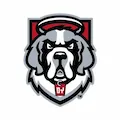 D'Youville Saints