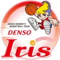 DENSO IRIS