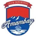 Deportivo Amambay logo
