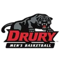 Drury Panthers