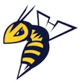 Edmonton Stingers logo