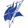 Elizabeth City Vikings