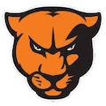 Greenville Panthers