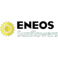 Japan Energy Jomo Sunflowers