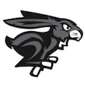 Ottawa Blackjacks logo