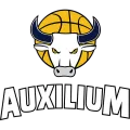 Pallacanestro Torino logo