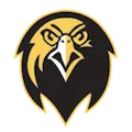 Pfeiffer Falcons