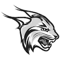 Rhodes Lynx
