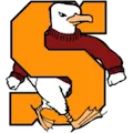 Salisbury Sea Gulls
