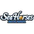 Seahorses Mikawa