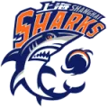 Ningbo Rockets vs Shanghai Sharks Live Score - 19 March 2025