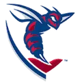 Shenandoah University Hornets